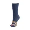 11.3-le petit.webp