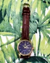 Reloj de Pulsera Sra Binbond WG070 Dial Azul